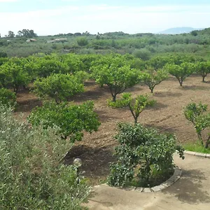 Residenza Rosa Maria Casa vacanze Orosei